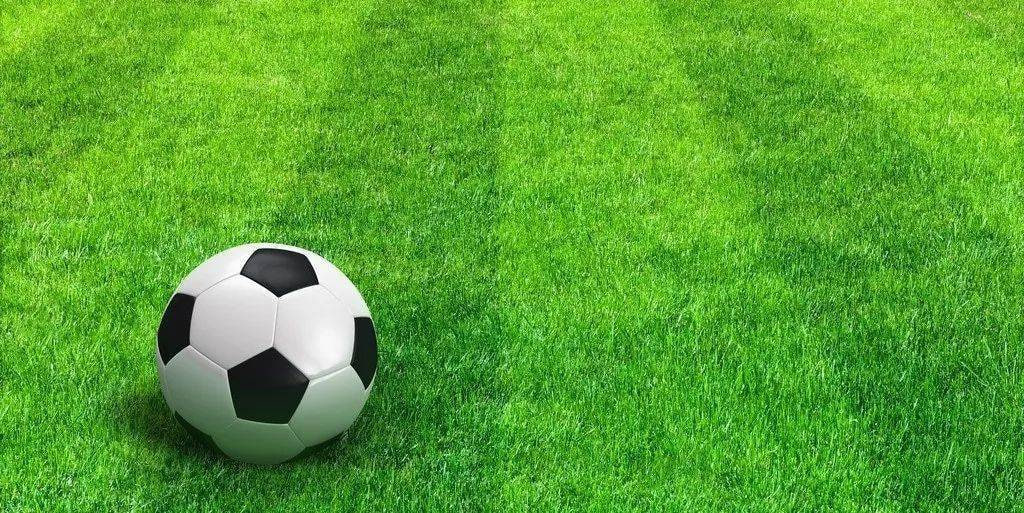 社交聚会观看足球直播